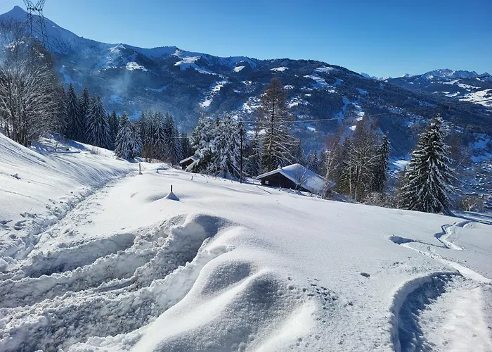Chalet D\'Alpage Avec Vue Incroyable