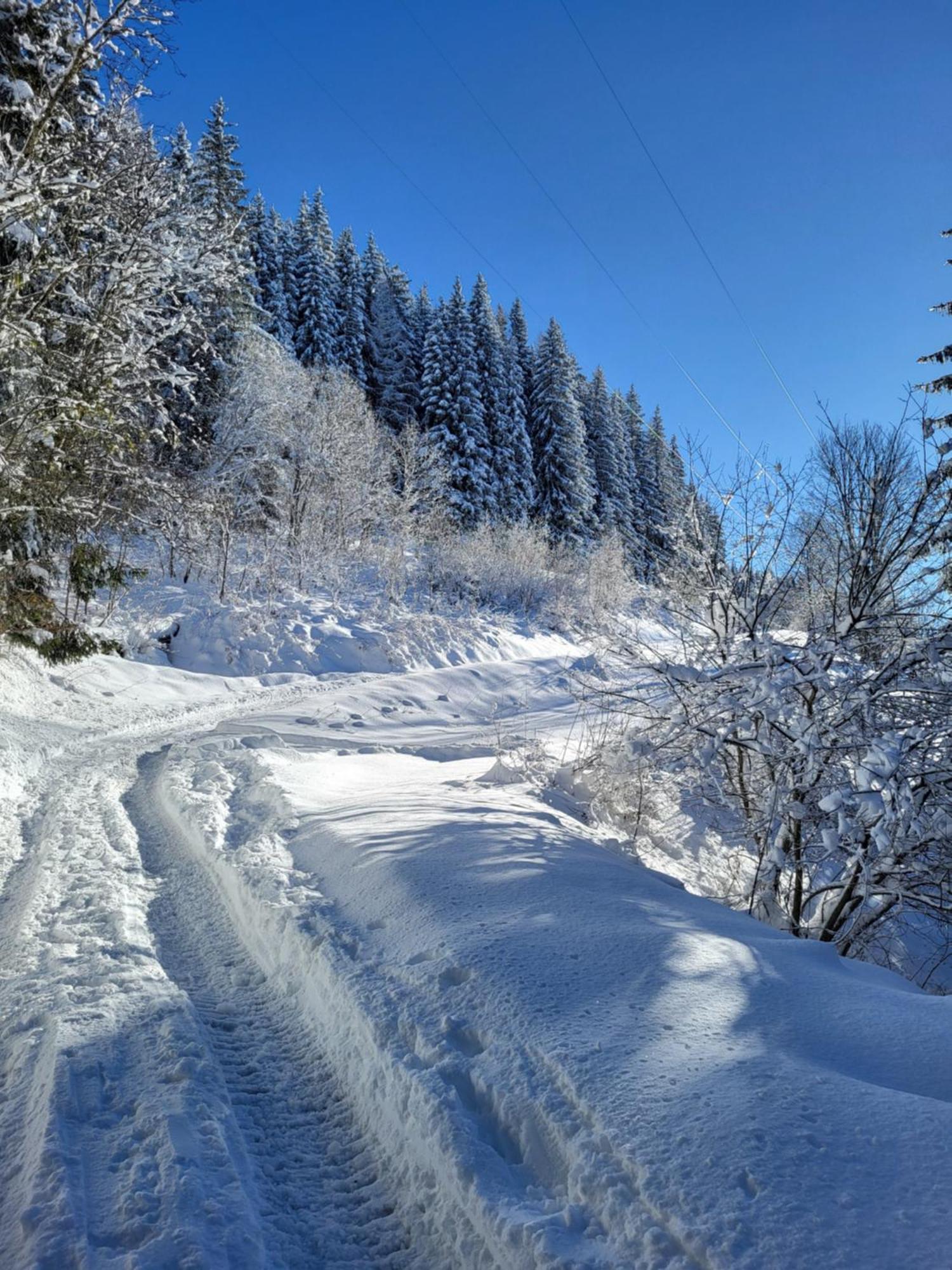 D'alpage Avec Vue Incroyable Chalet